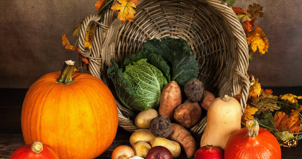 Nutrition alimentation équilibre et immunité - ORI Coaching à Monts